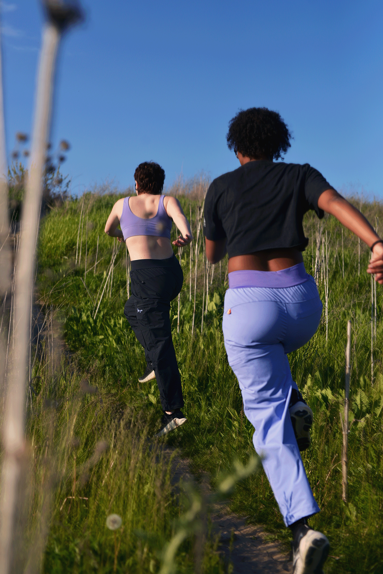 Origin Pants V2 - Twilight Iris
